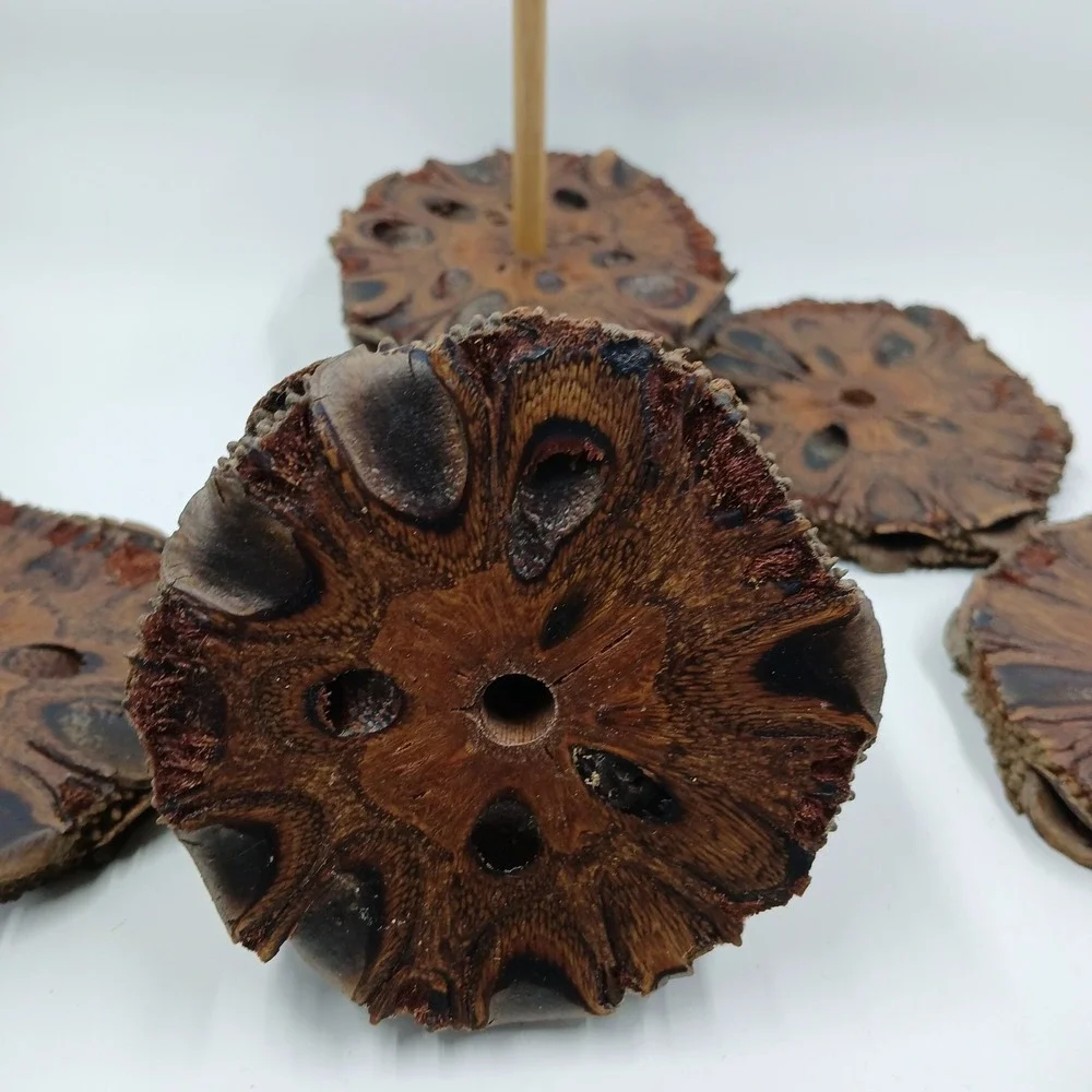COASTERS Banksia Pod Set of 6 Brown‎